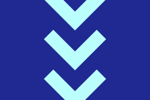 Settlement_Marineris-flag.png