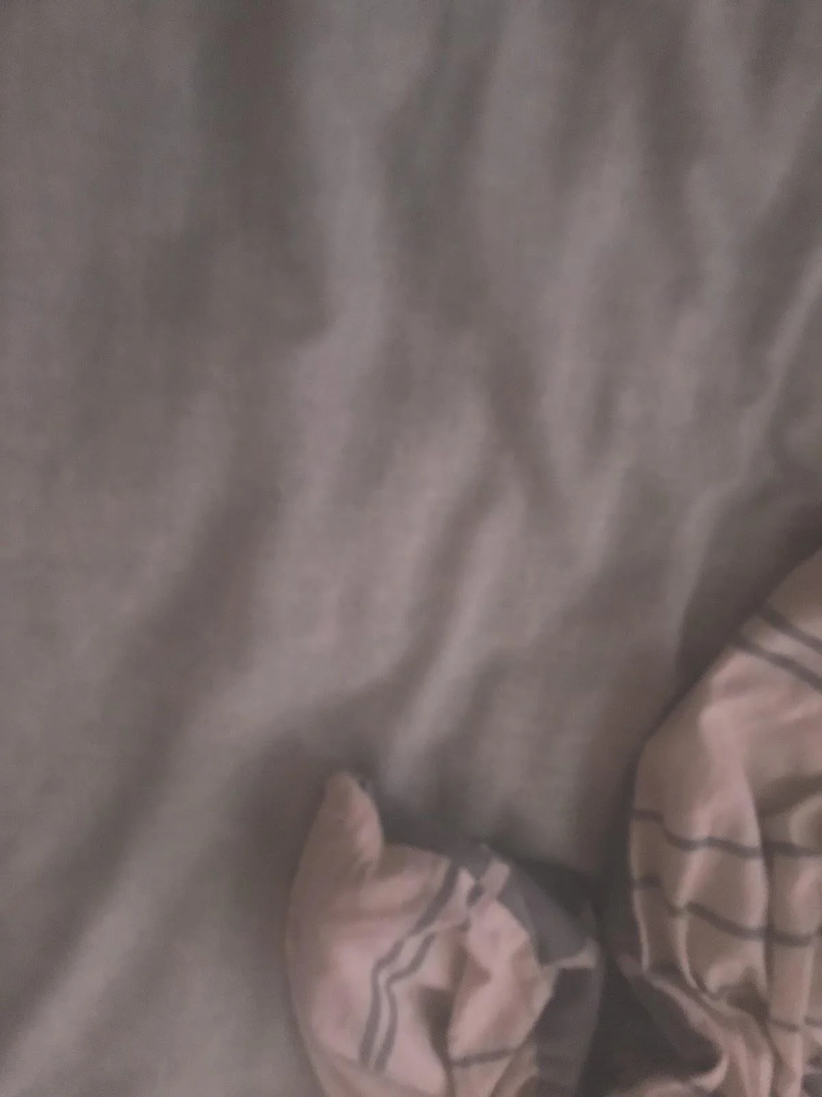 A blurry picture of a blanket; an ocean.