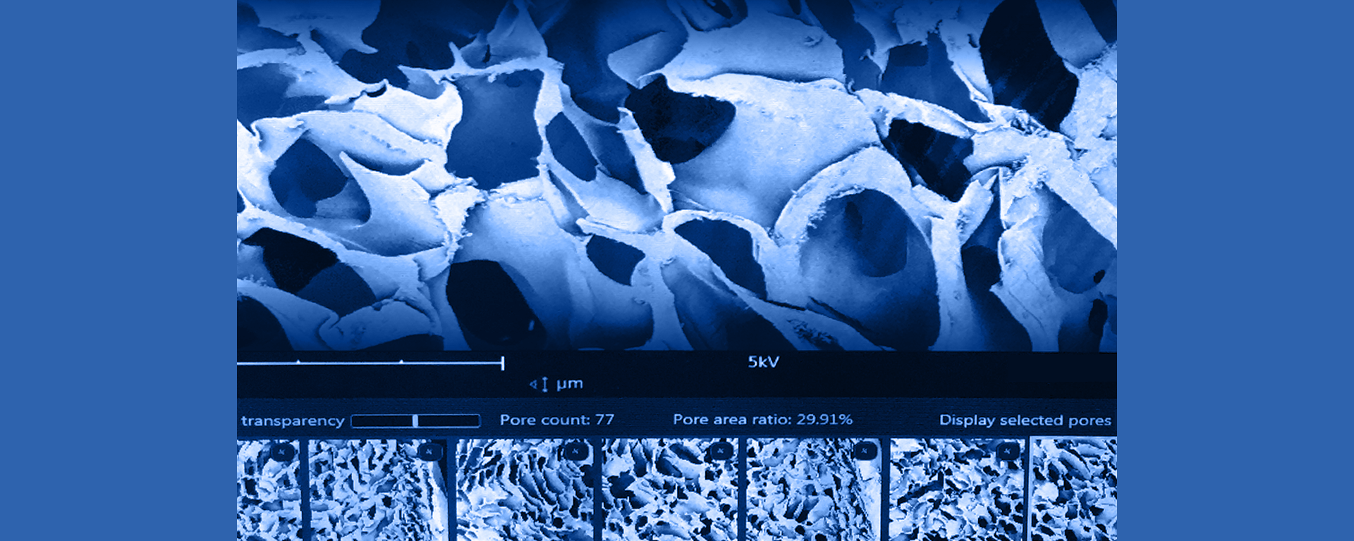 img_header_1280_42.png