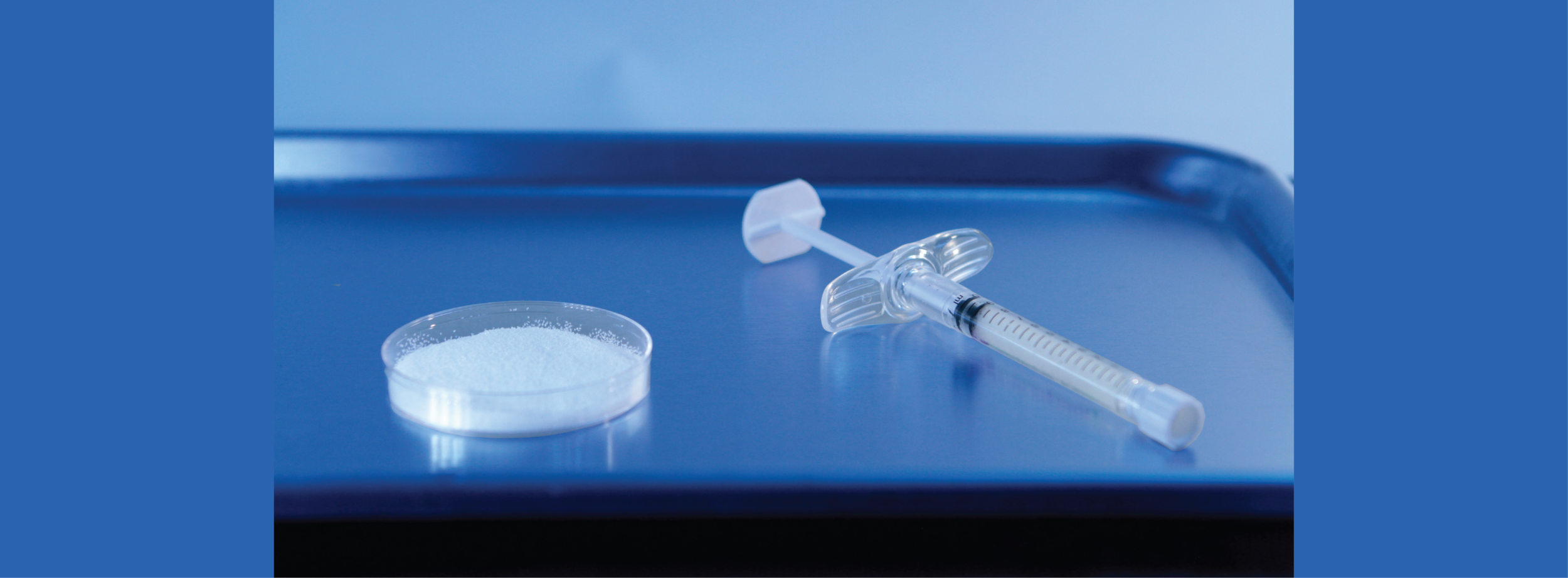 Silk Voice Web Banner_v1-04-01-01-01-01.png