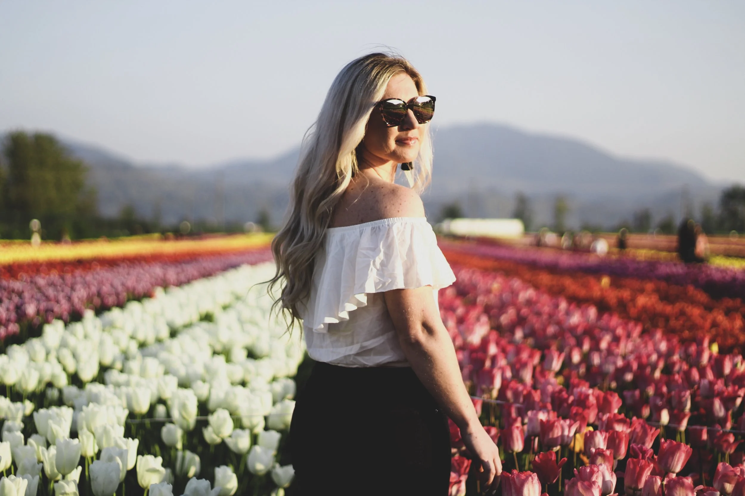 ABBOTSFORD  TULIP  FIELDS . 