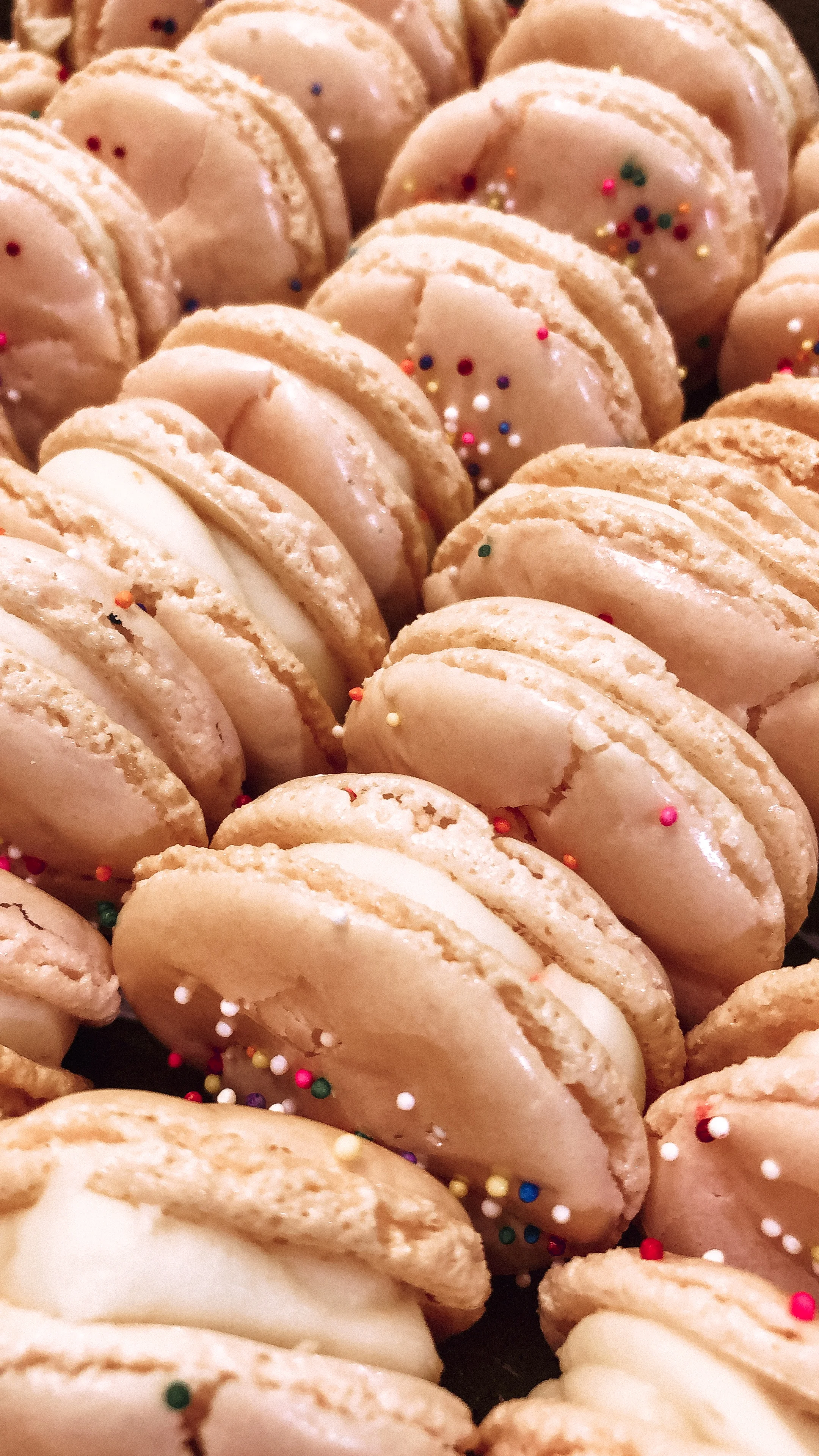 VALENTINE'S DAY WITH YOUR BEST GALS