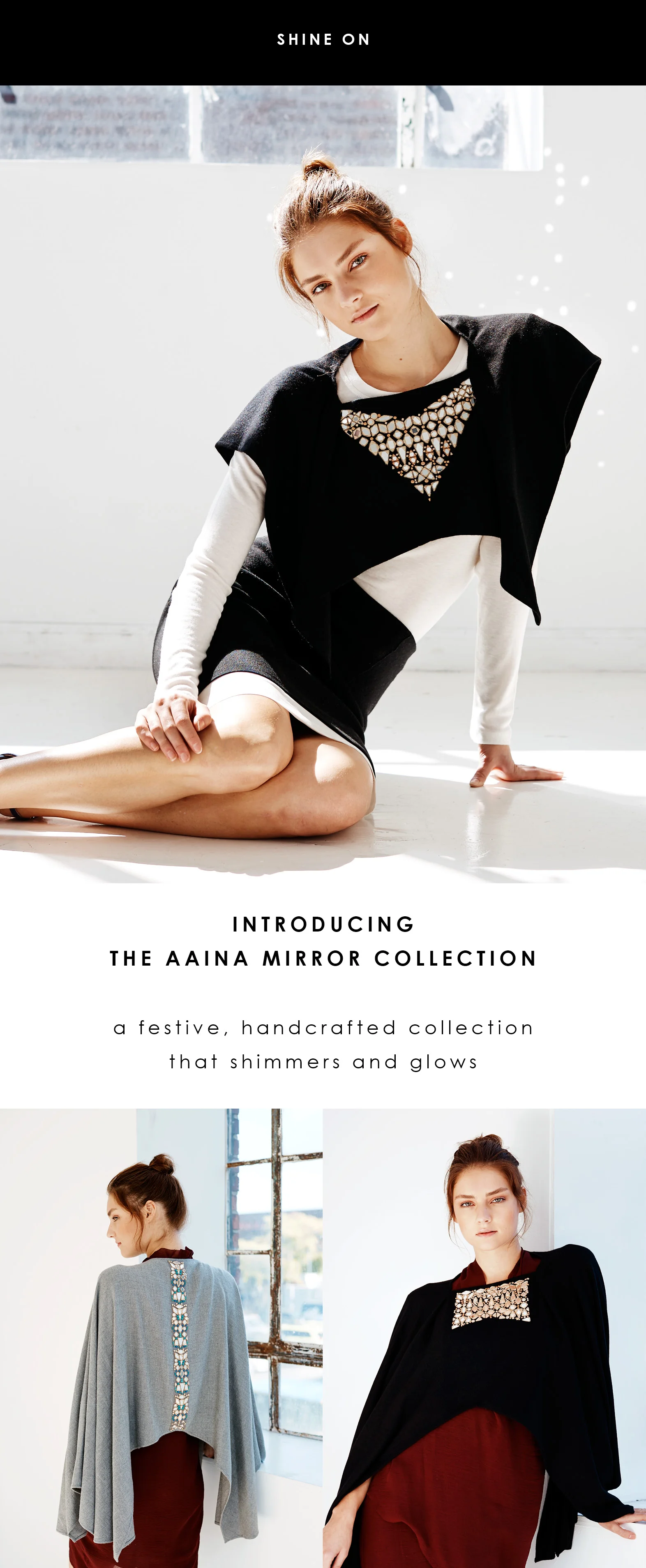 AAINA email.jpg