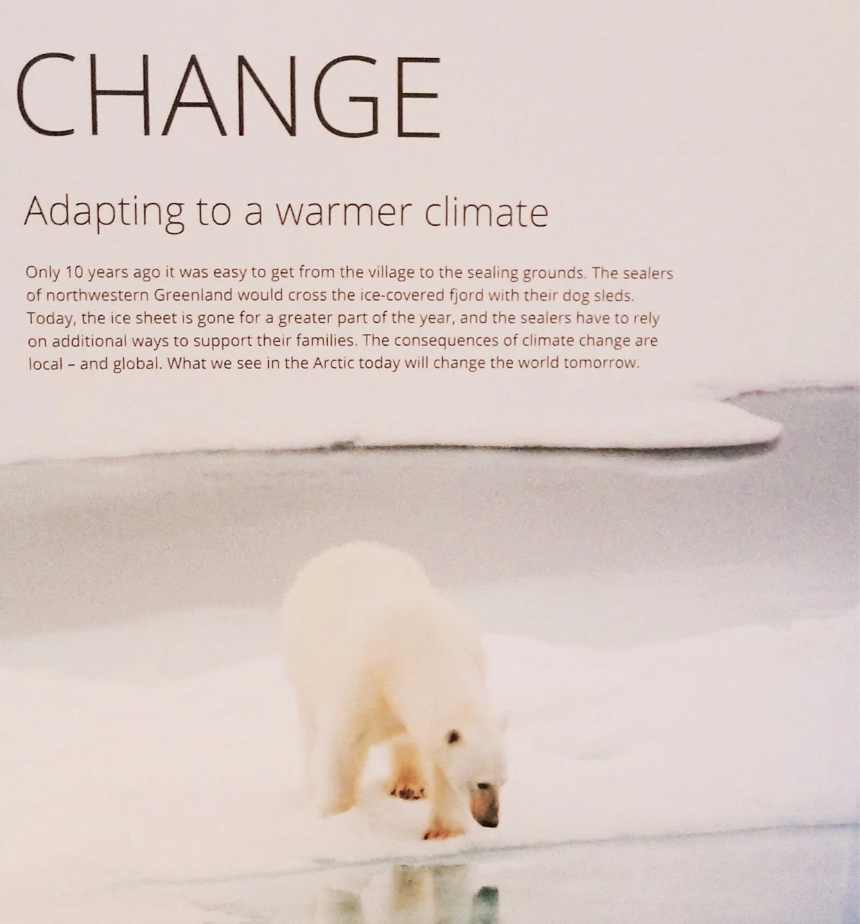 Our Arctic Future 3.jpg