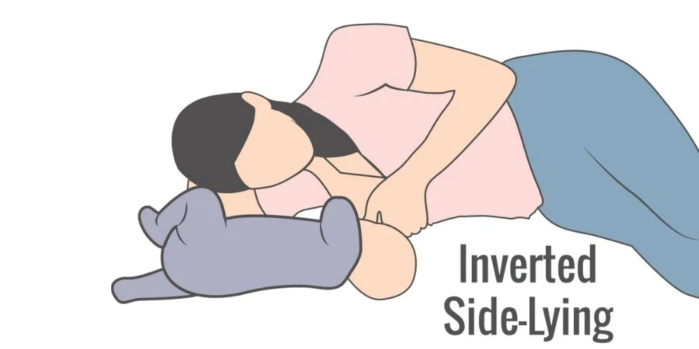 Inverted Side-lying position for breastfeeding with large breasts.