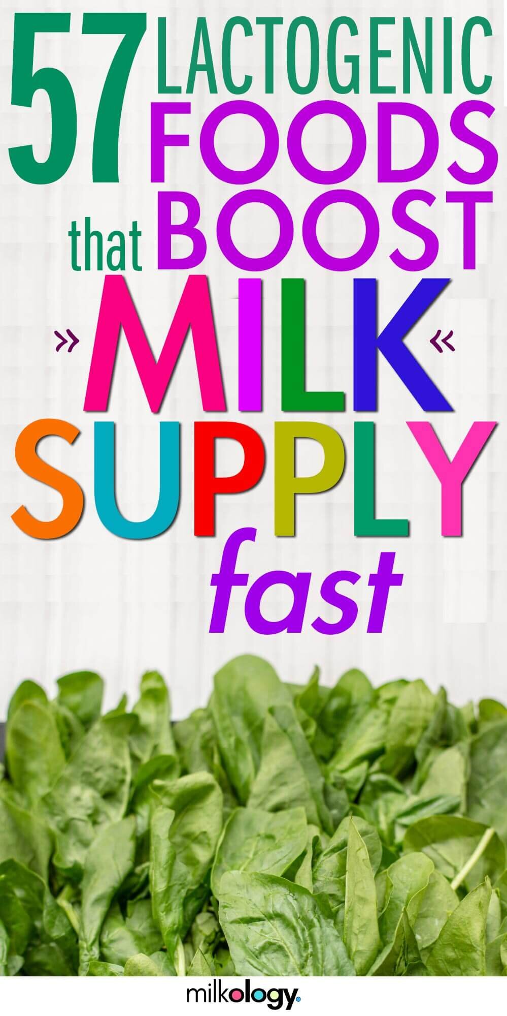 Foods to Help Milk Supply 