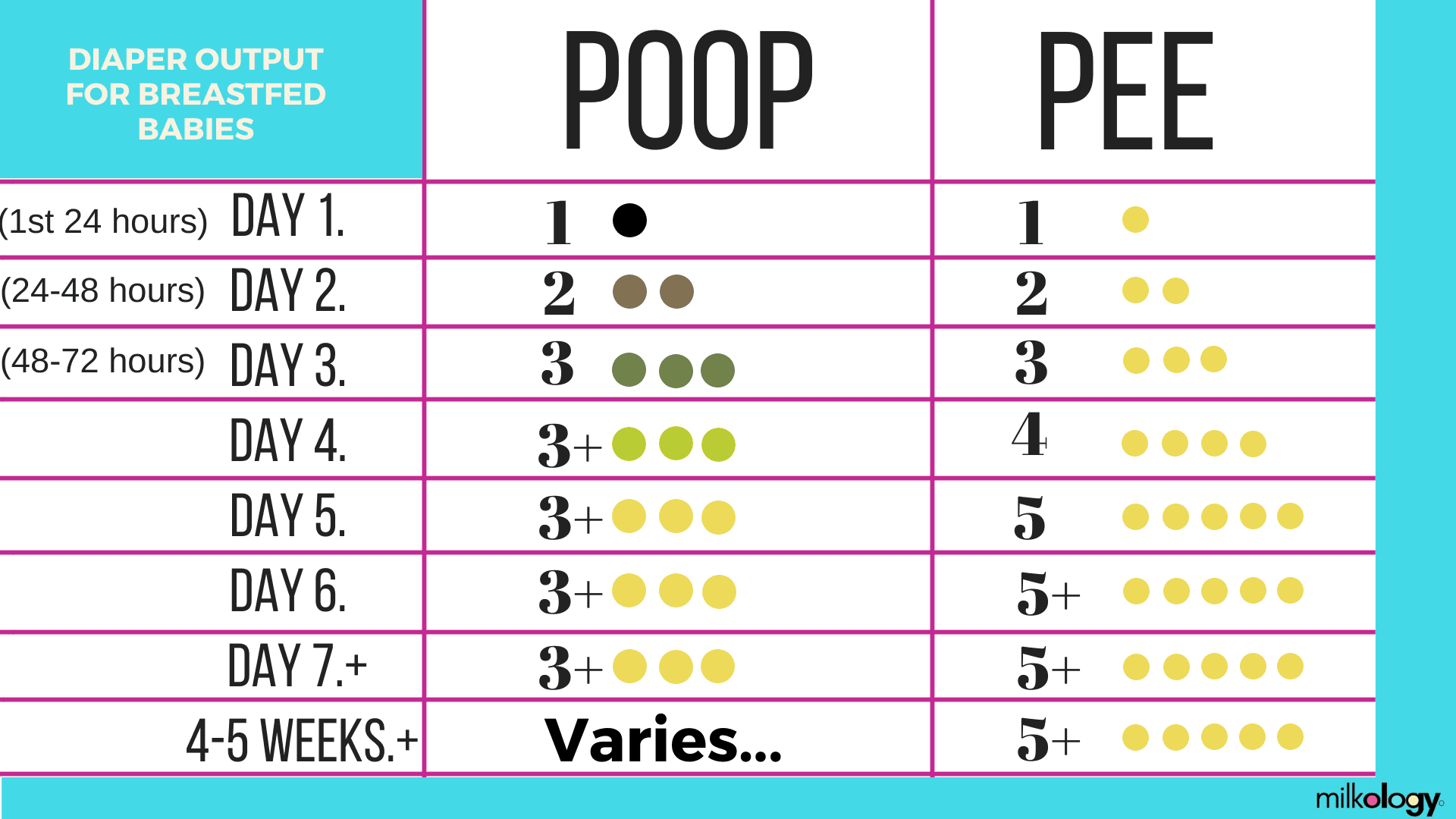 Newborn Diaper Chart