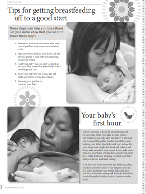 7 Free Breastfeeding PDFs to Help You — Milkology®
