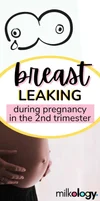 Help! My Breasts Are Leaking During Pregnancy (2nd Trimester) — Milkology®(00)