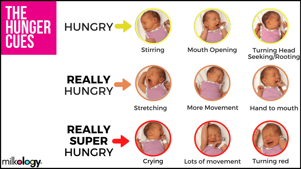 27 Expert Breastfeeding Tips For New Moms — Milkology®