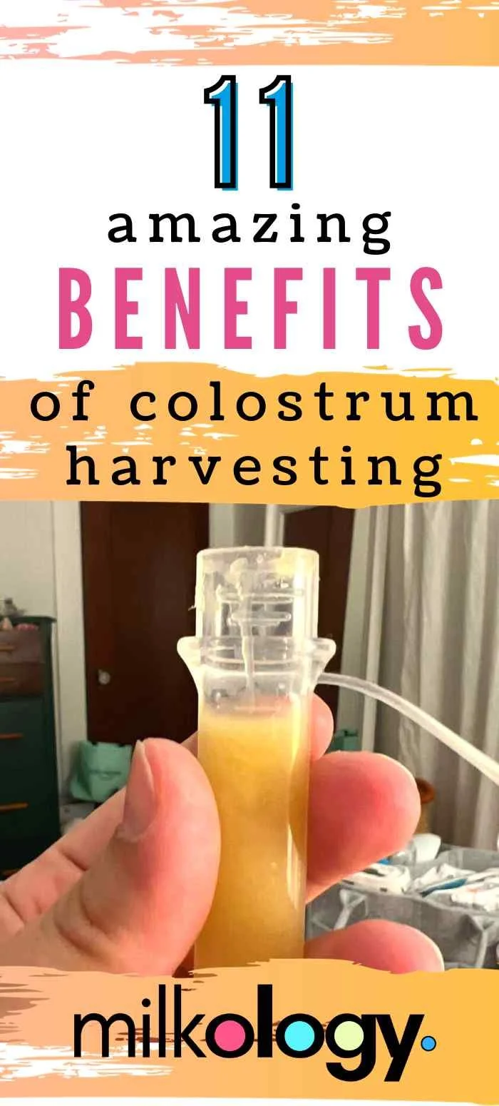 11 Amazing Benefits Of Colostrum Harvesting — Milkology®