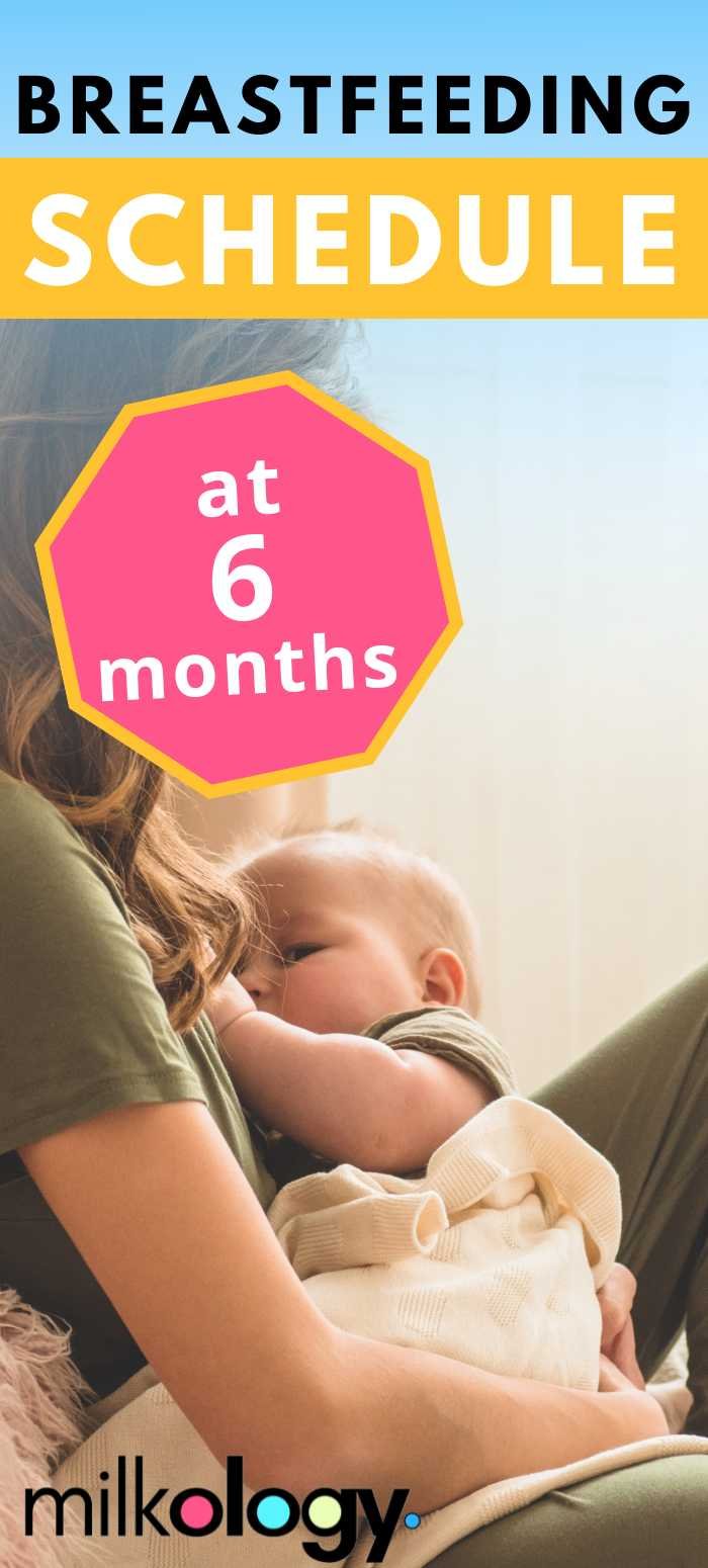 Feeding your baby: 6–12 months