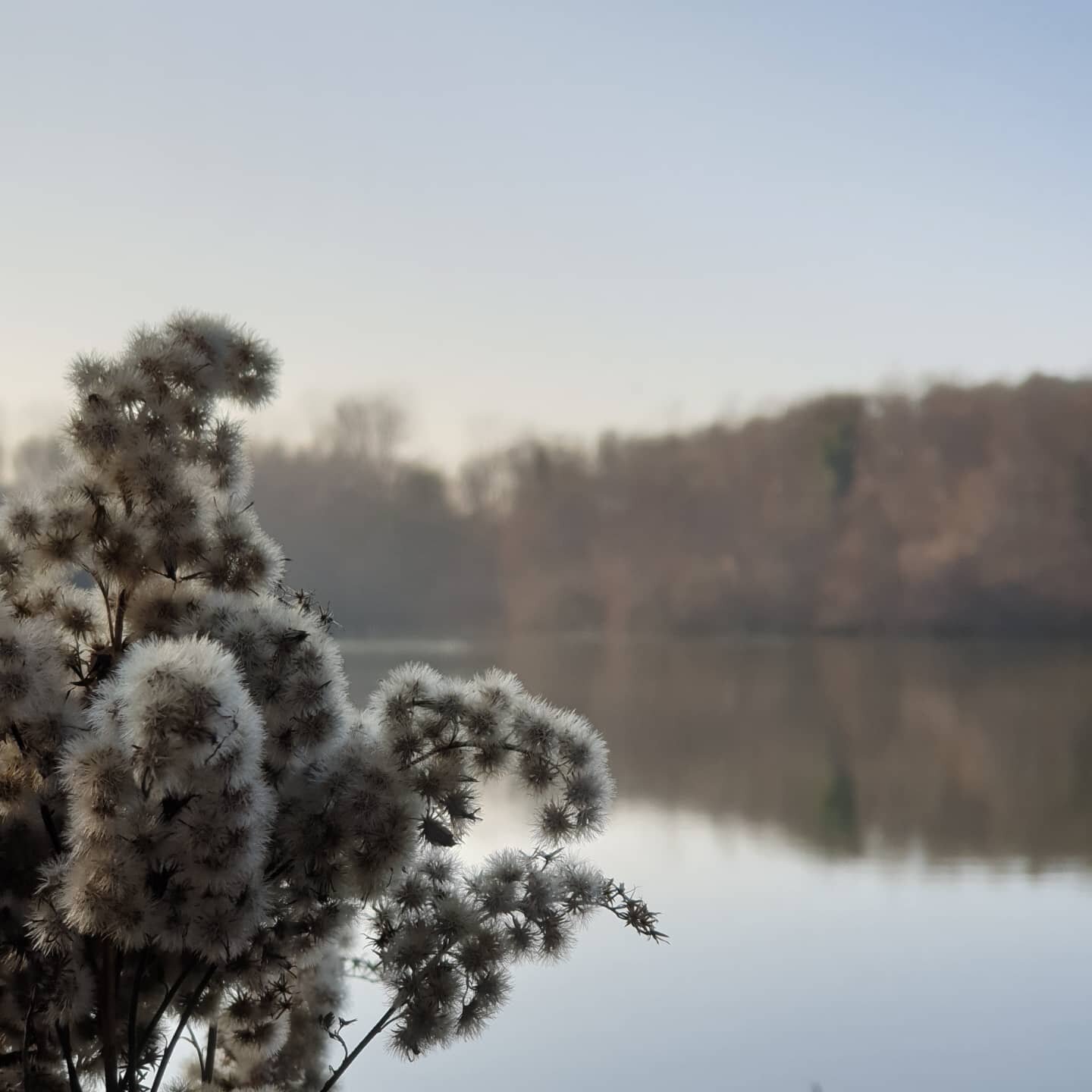 💫 En ce 25 d&eacute;cembre si sp&eacute;cial pour beaucoup d'entre nous, je vous souhaite un joyeux No&euml;l. 💫
J'esp&egrave;re que vous avez &eacute;t&eacute; gat&eacute;(e)s par vos proches et passez ces derniers jours de 2021 dans la s&eacute;r