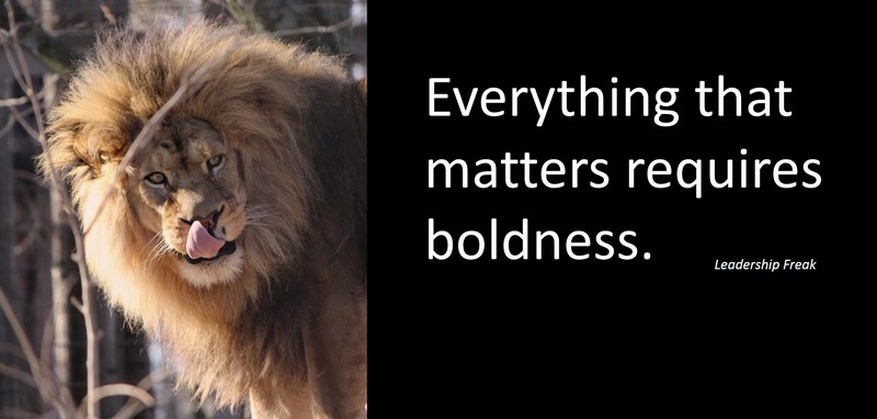 boldness4.jpg