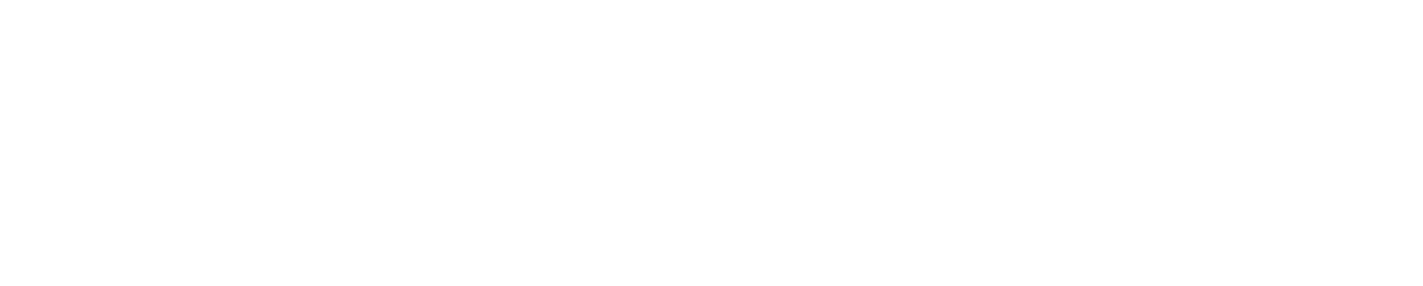 Capacity Building International-logo-white.png