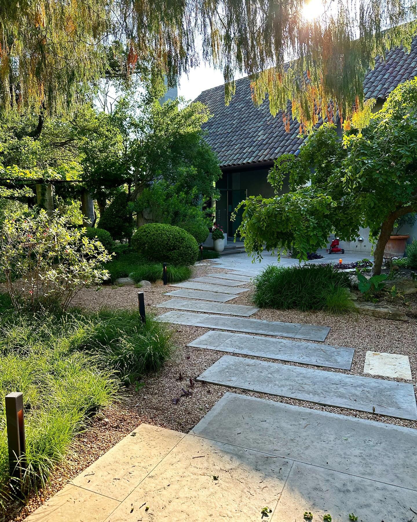 Updates to an already beautiful front yard - Added a stepping stone pathway, landscape lighting, and more planting layers and textures

&mdash;&gt; before

Landscape Architect: @studio8sc 
Landscape and Lighting Install: Big Tree LLC
Stone Path insta