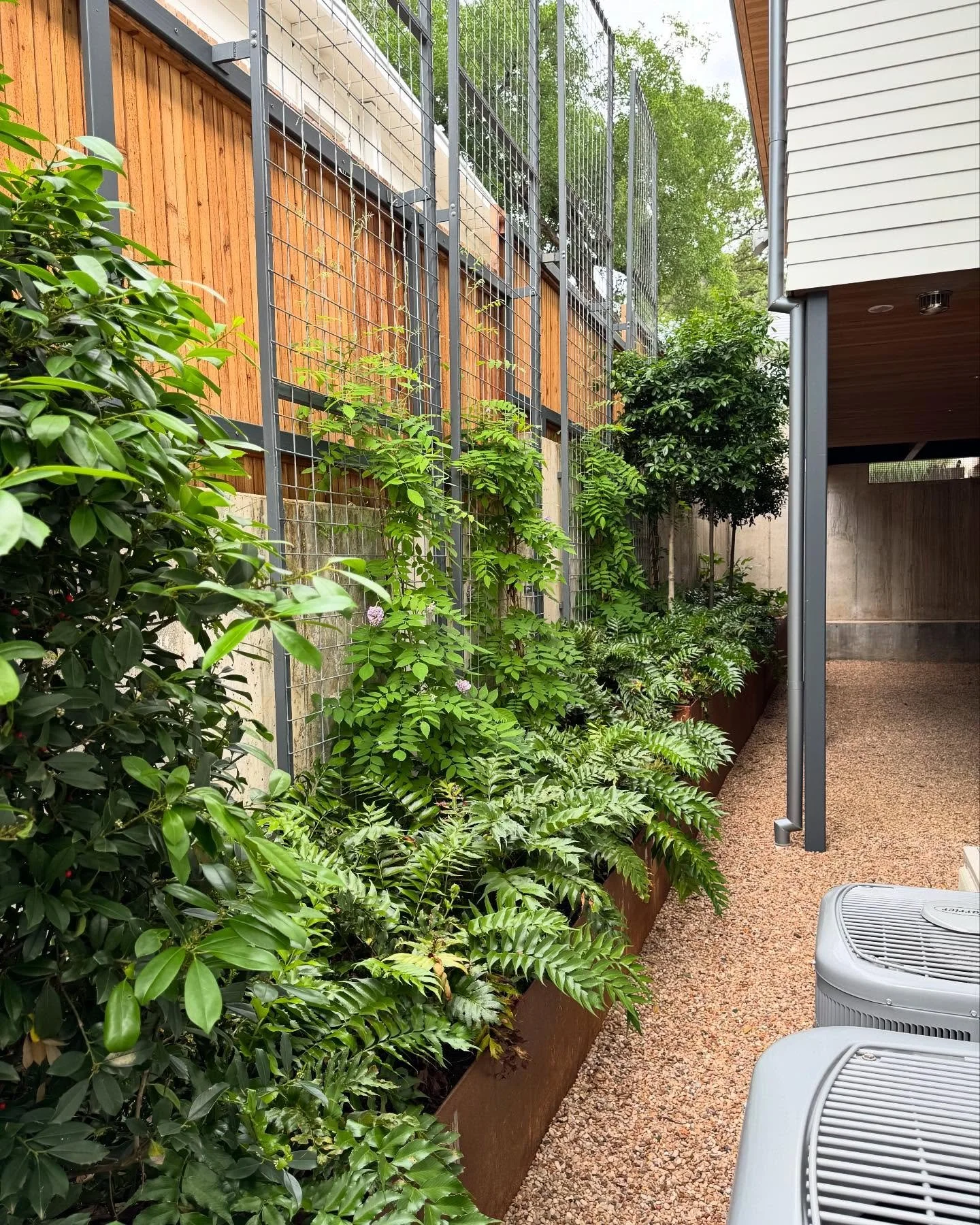 Small space designer tip: 
Go vertical, layer and use a lot of the same plants! 

It is great way to add privacy and create visual impact