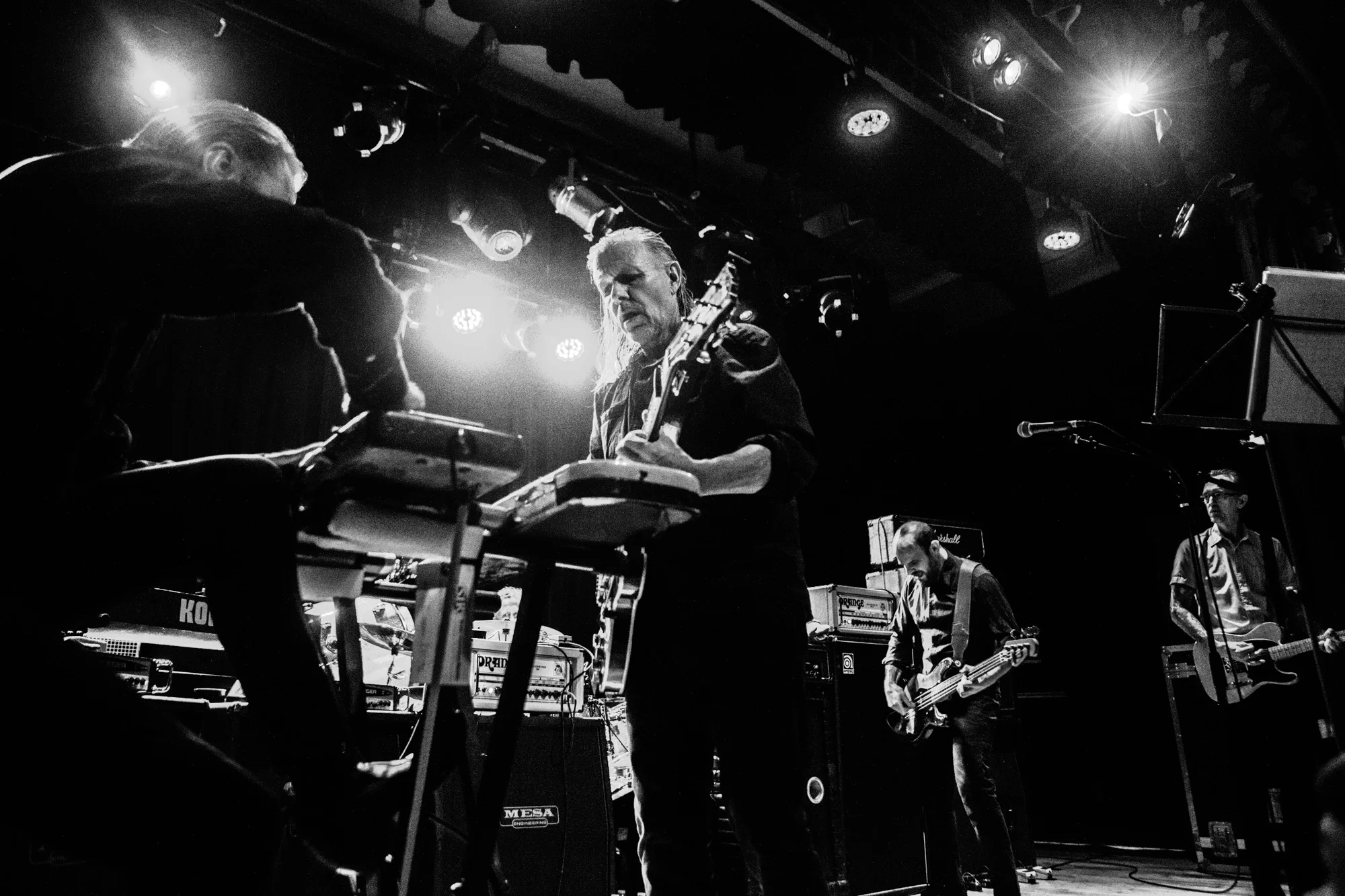 afcortes_gazette_musicale_swans_3949.jpg