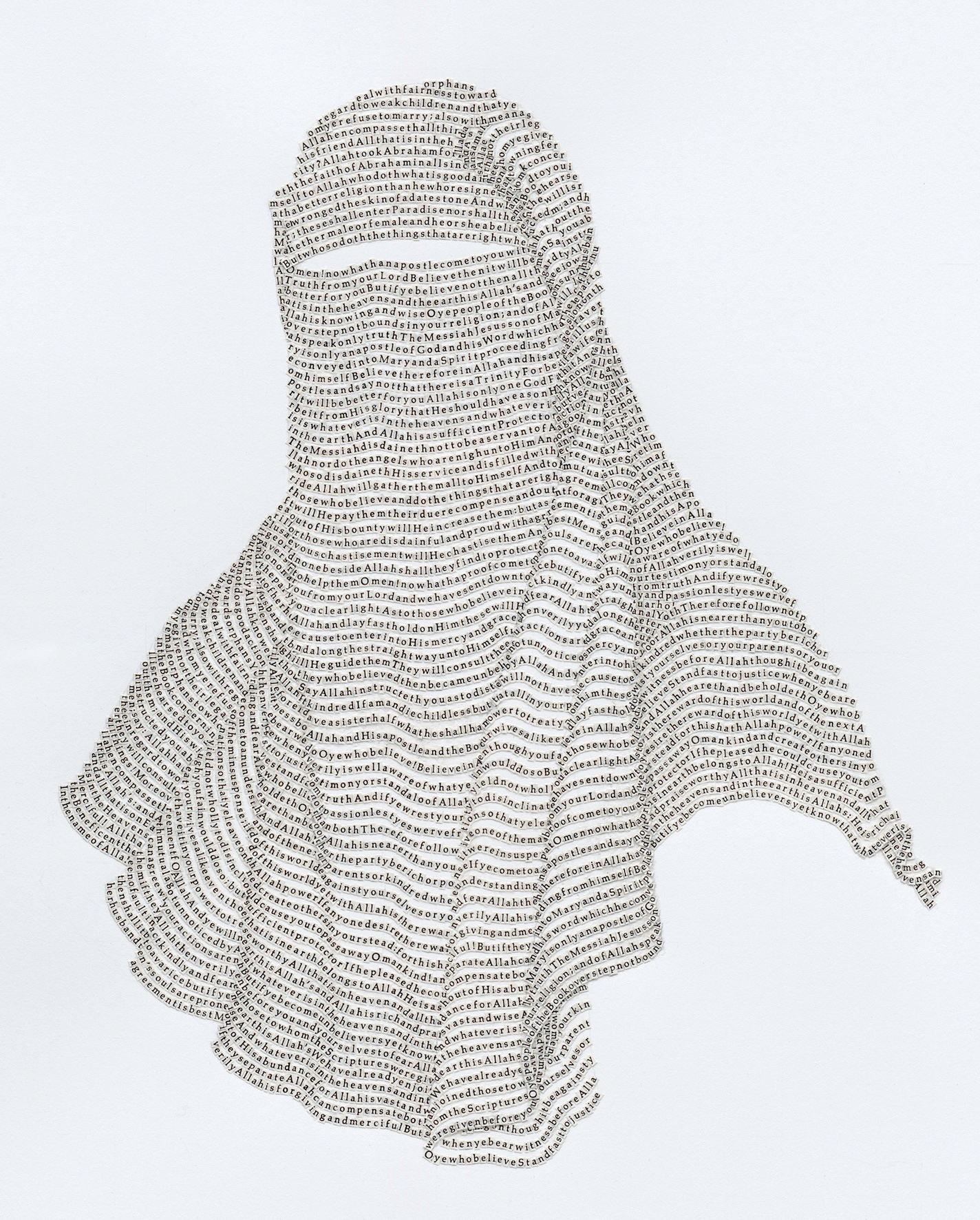 Niqab No. 3 (detail).jpg