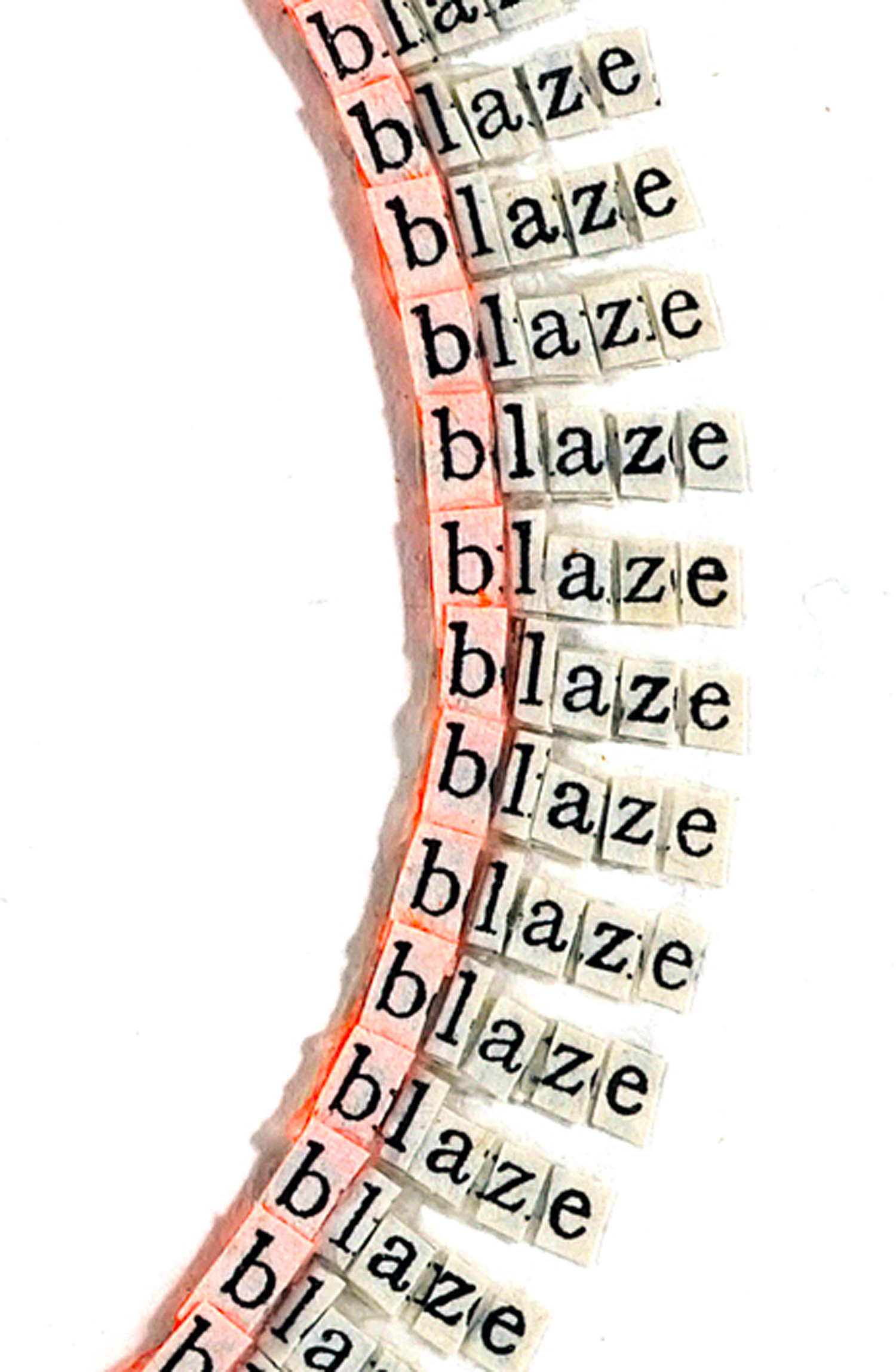 Blaze-detail 3.jpg