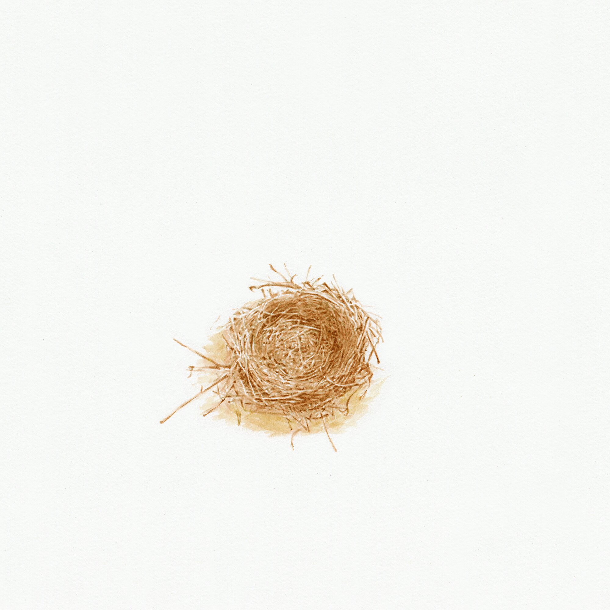 #18-Nest.jpg