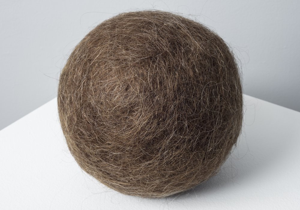 EW hairball med res.jpg