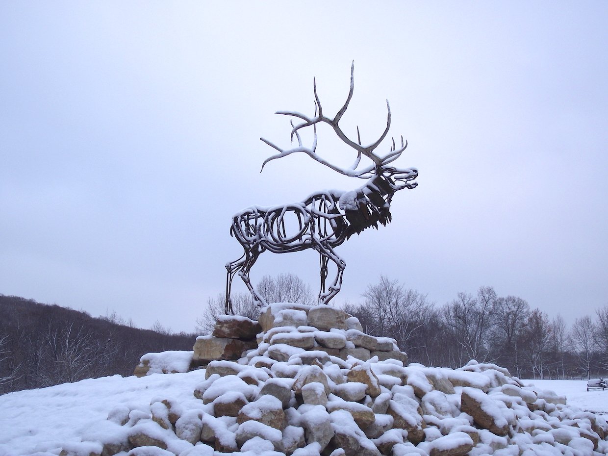 10.Elk Return snow.JPG