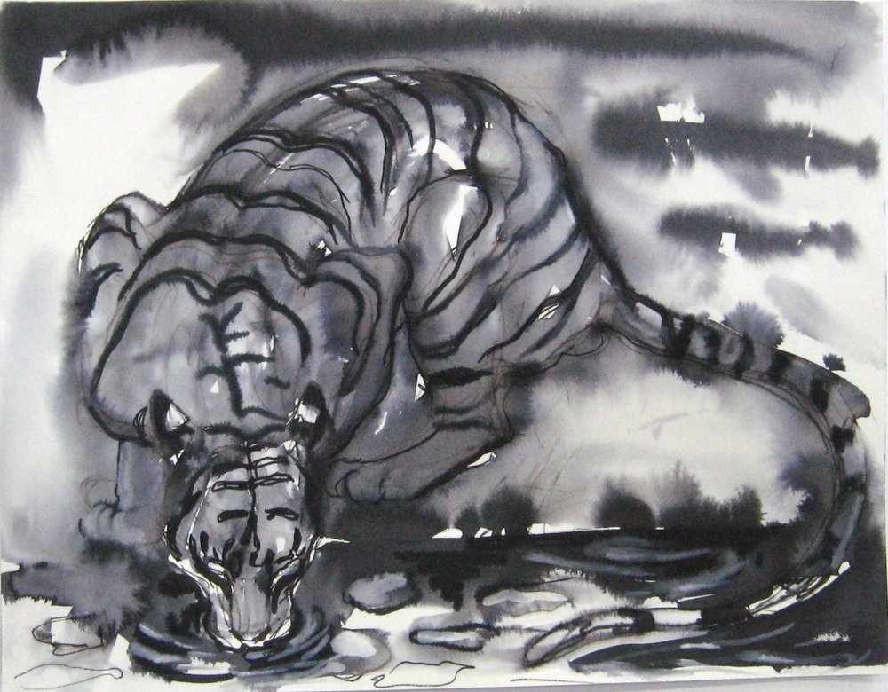 23.Tiger Drinking Night, 2011, ink on paper, private collection, 11 X 14%22.JPG