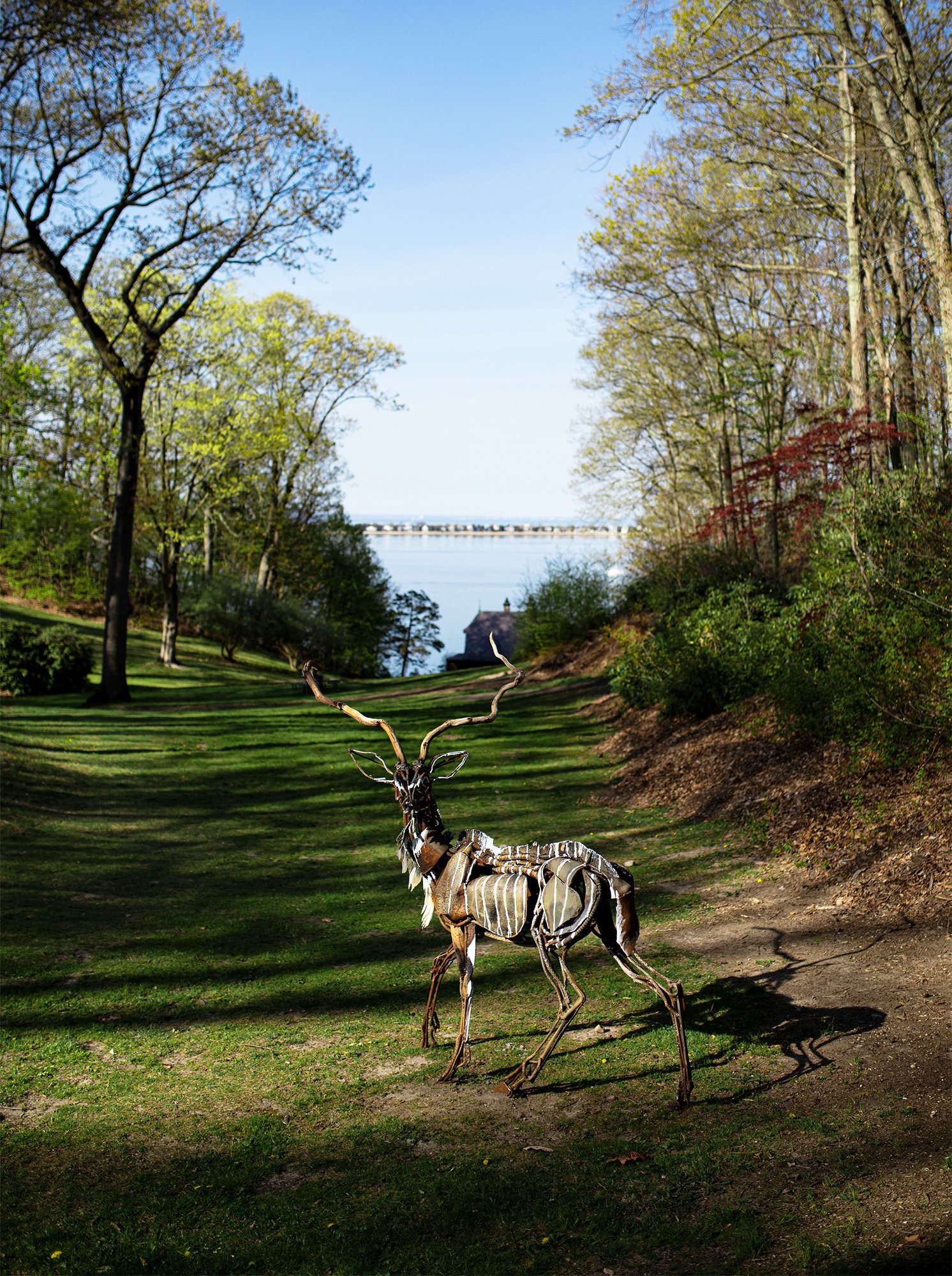 *Kudu.jpg