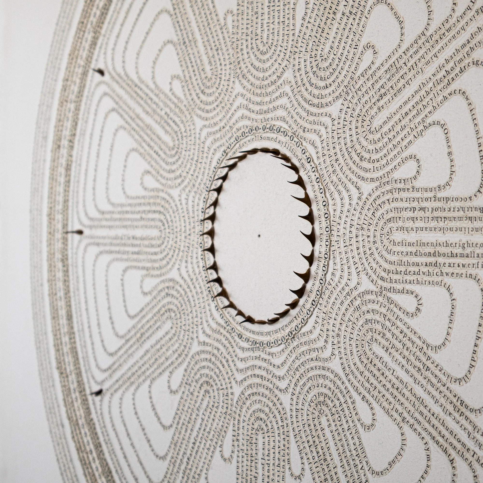 Some Day_detail_4a.jpg