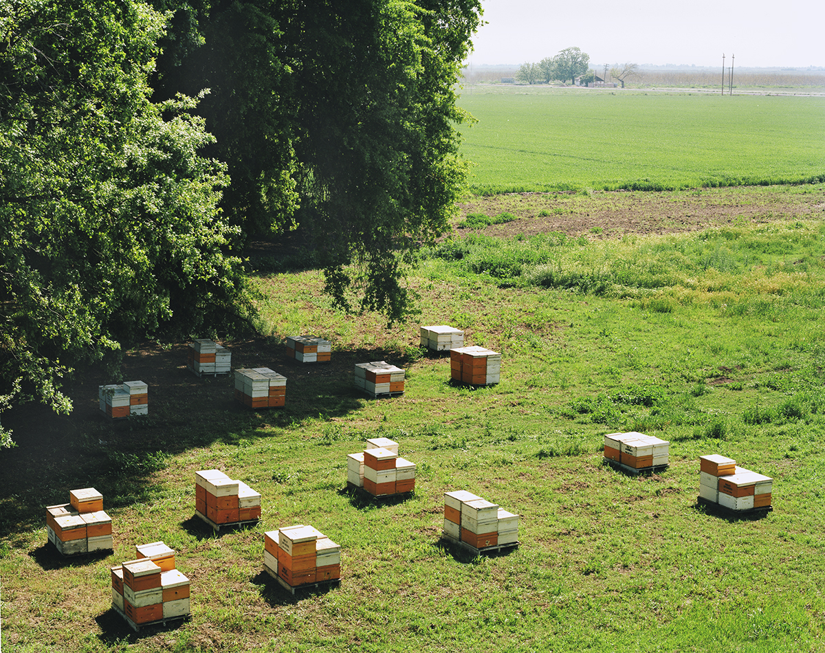 HIVES, along the Feather River