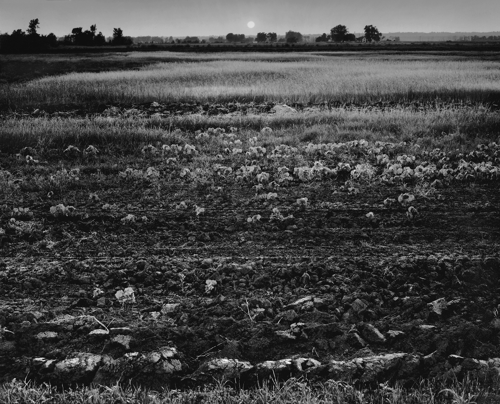 Missouri river bottoms near Atcheson