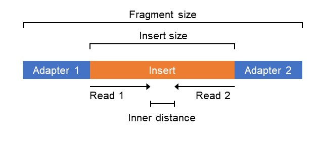 Fig1.jpg