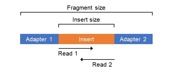 Fig2.jpg