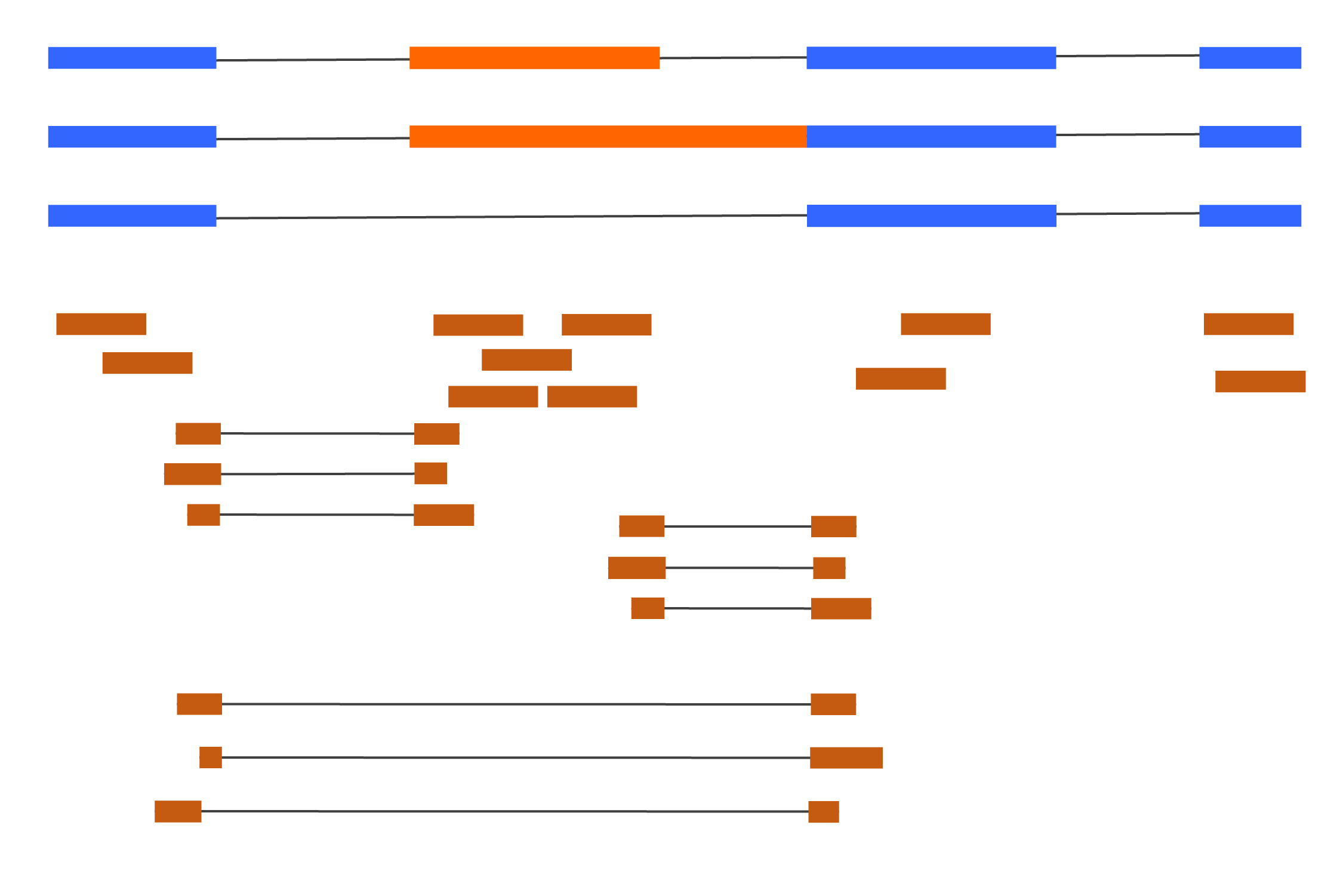 Figure 2 - A third isoform is introduced compared to Figure 1. Lack of reads supporting it suggest that it might be an artefact in the annotation.