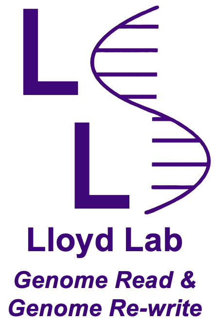 LL: Lloyd Lab with nucleic acid symbol: Genome Read & Genome Re-write