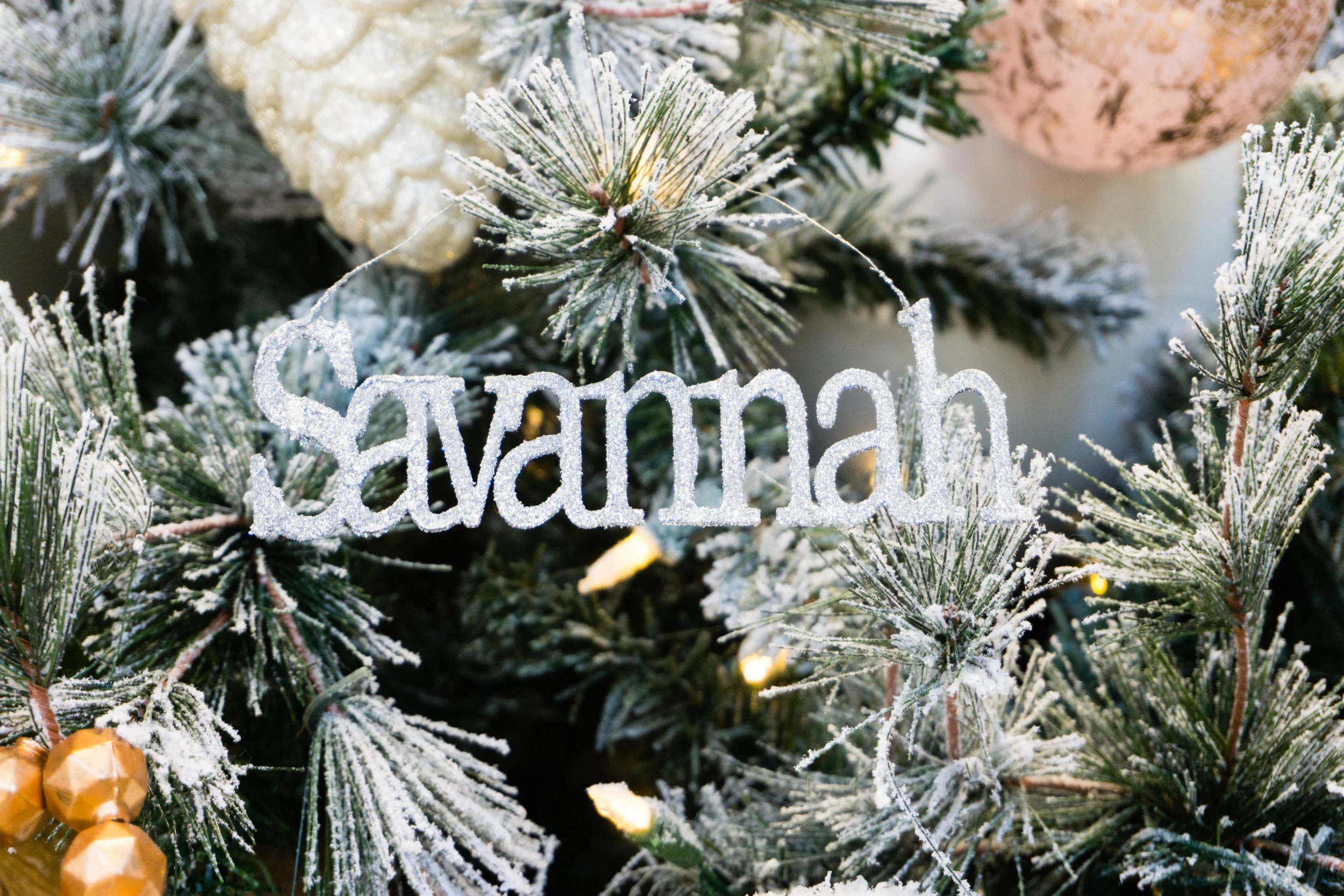 Day 74 - Exploring Savannah