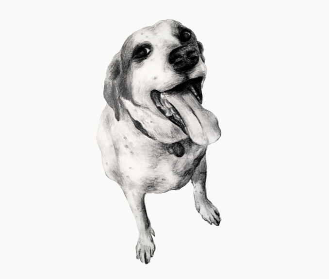 Cooper