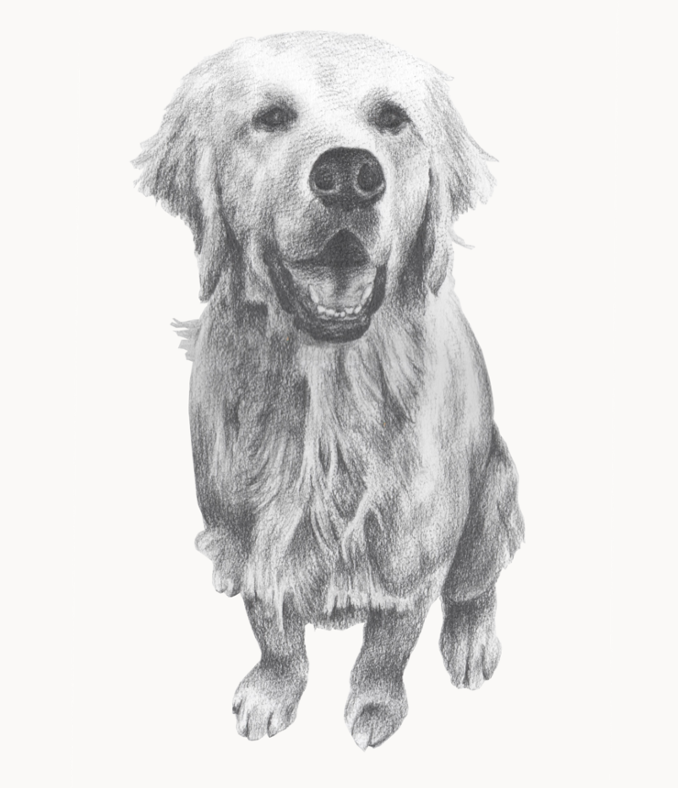 Cooper