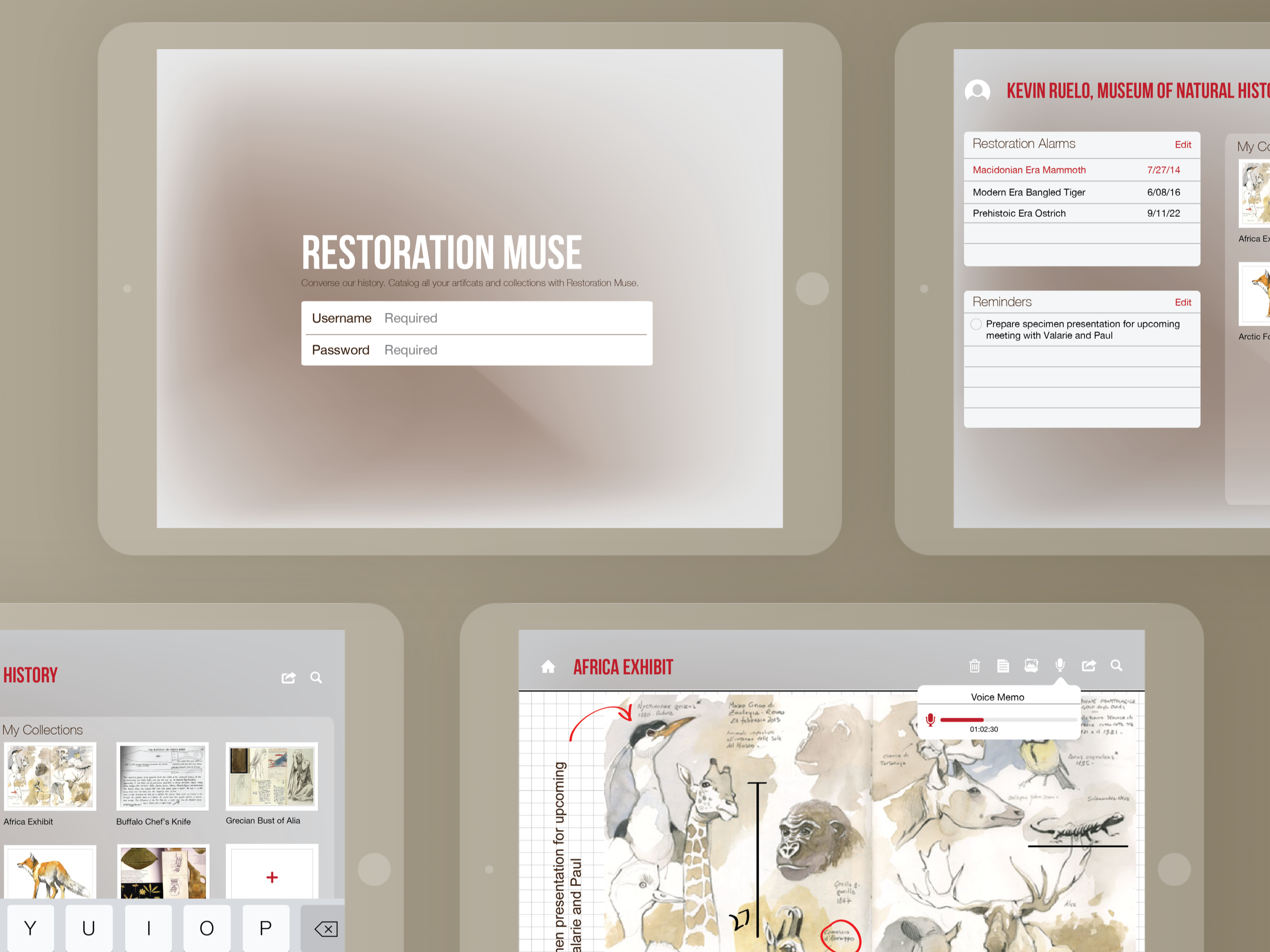 Restoration Muse.png