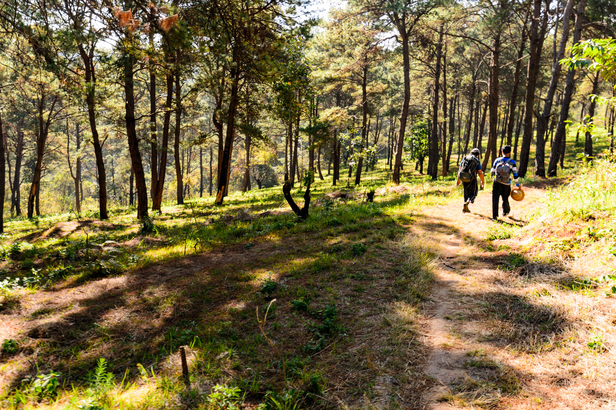 Trek_Day_1-00037.jpg
