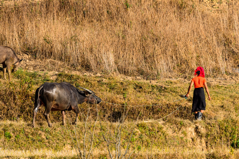 Trek_Day_1-00209.jpg