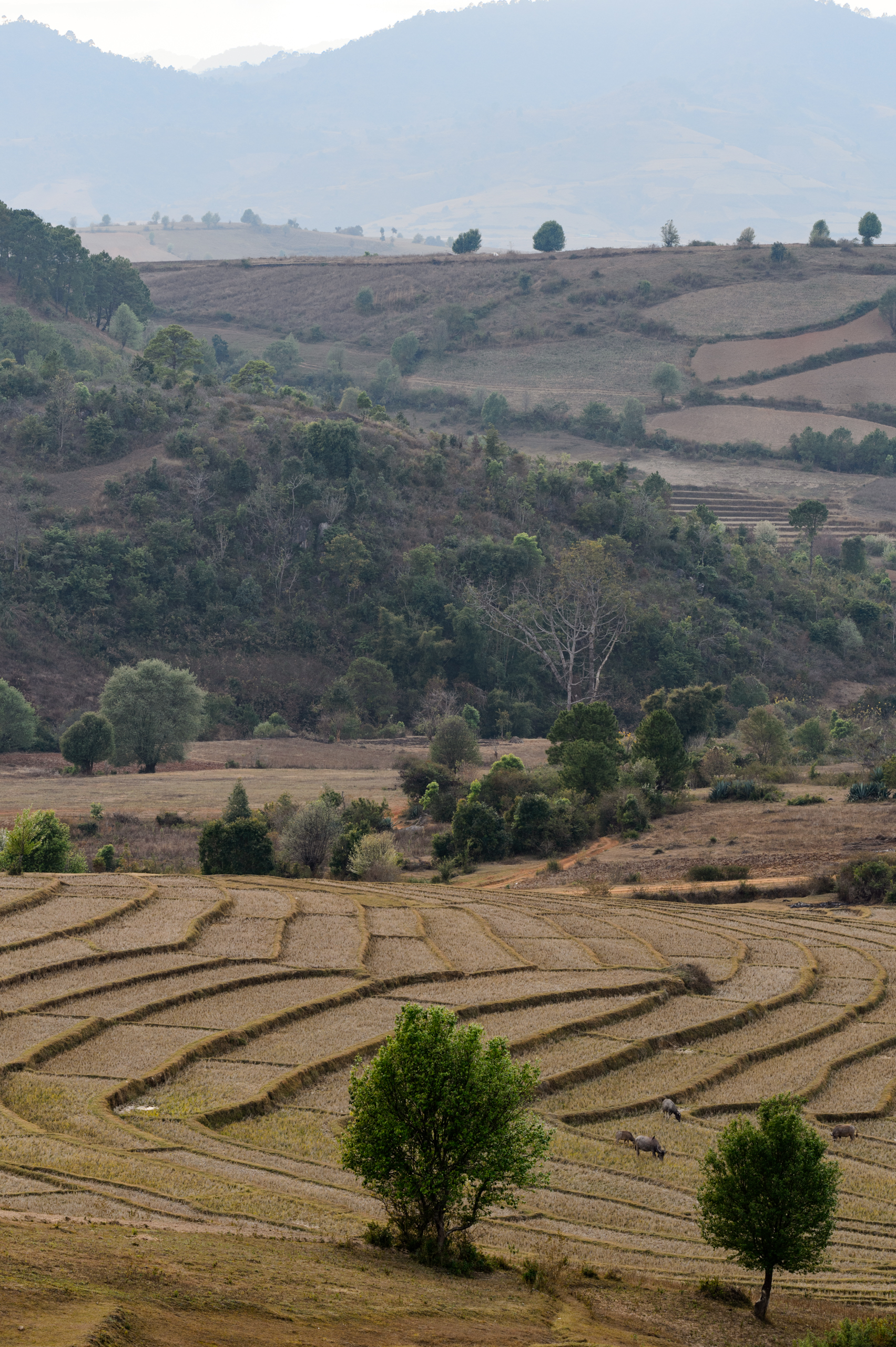 Trek_Day_1-00216.jpg