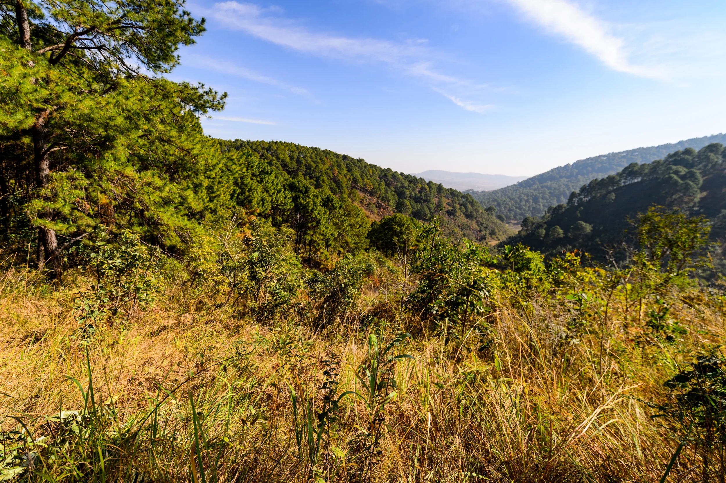 Trek_Day_1-00048.jpg