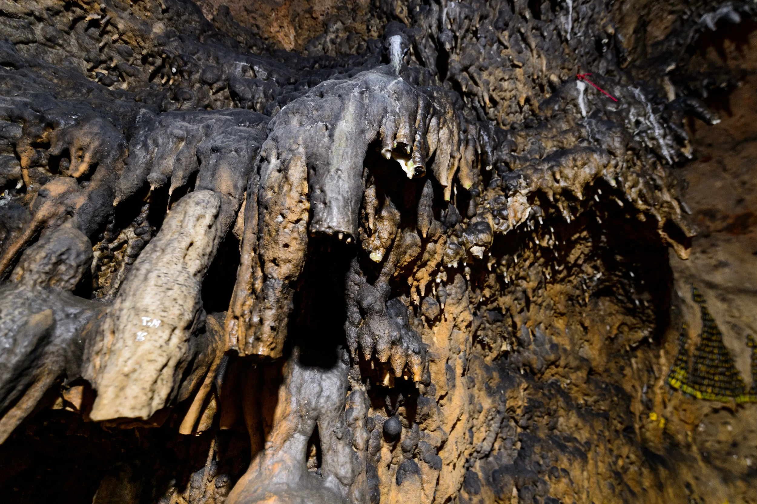 Trek_Day_1-00104.jpg