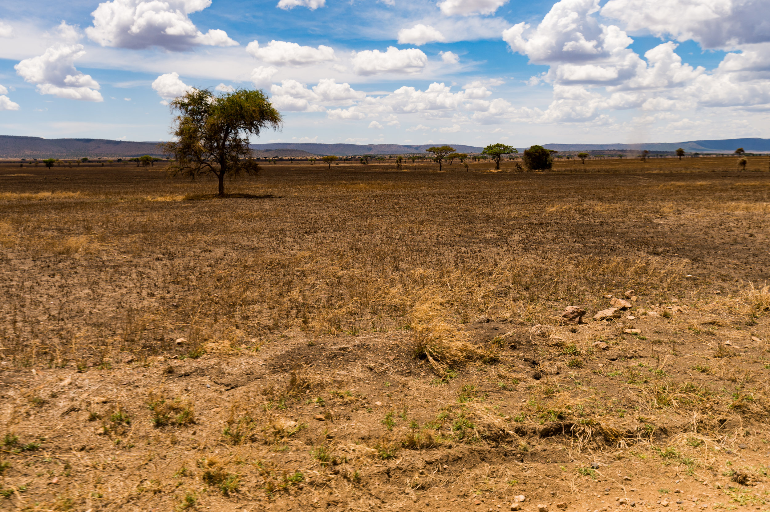 Ewanjan_1-090.jpg