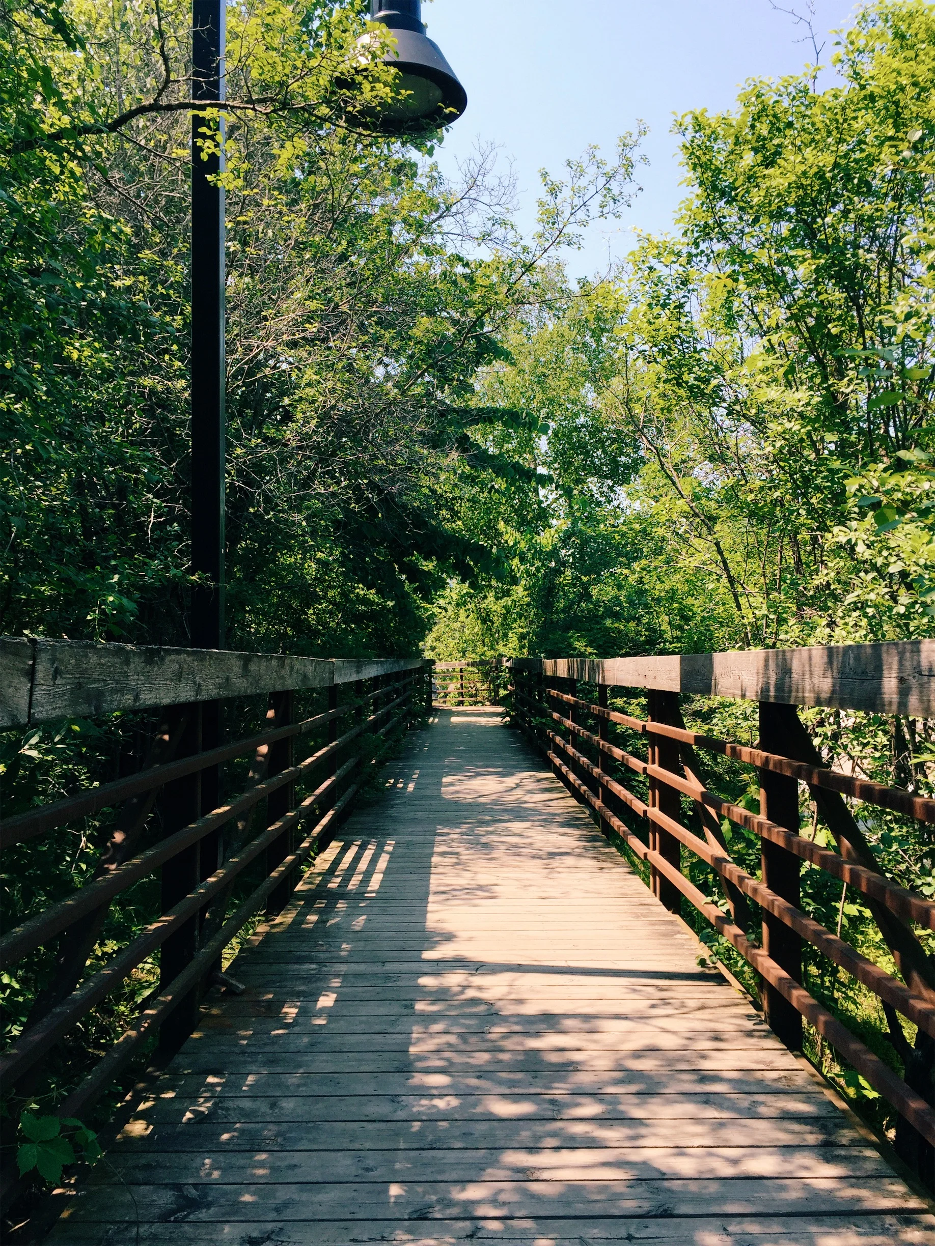 Writer Walk ... 🌳