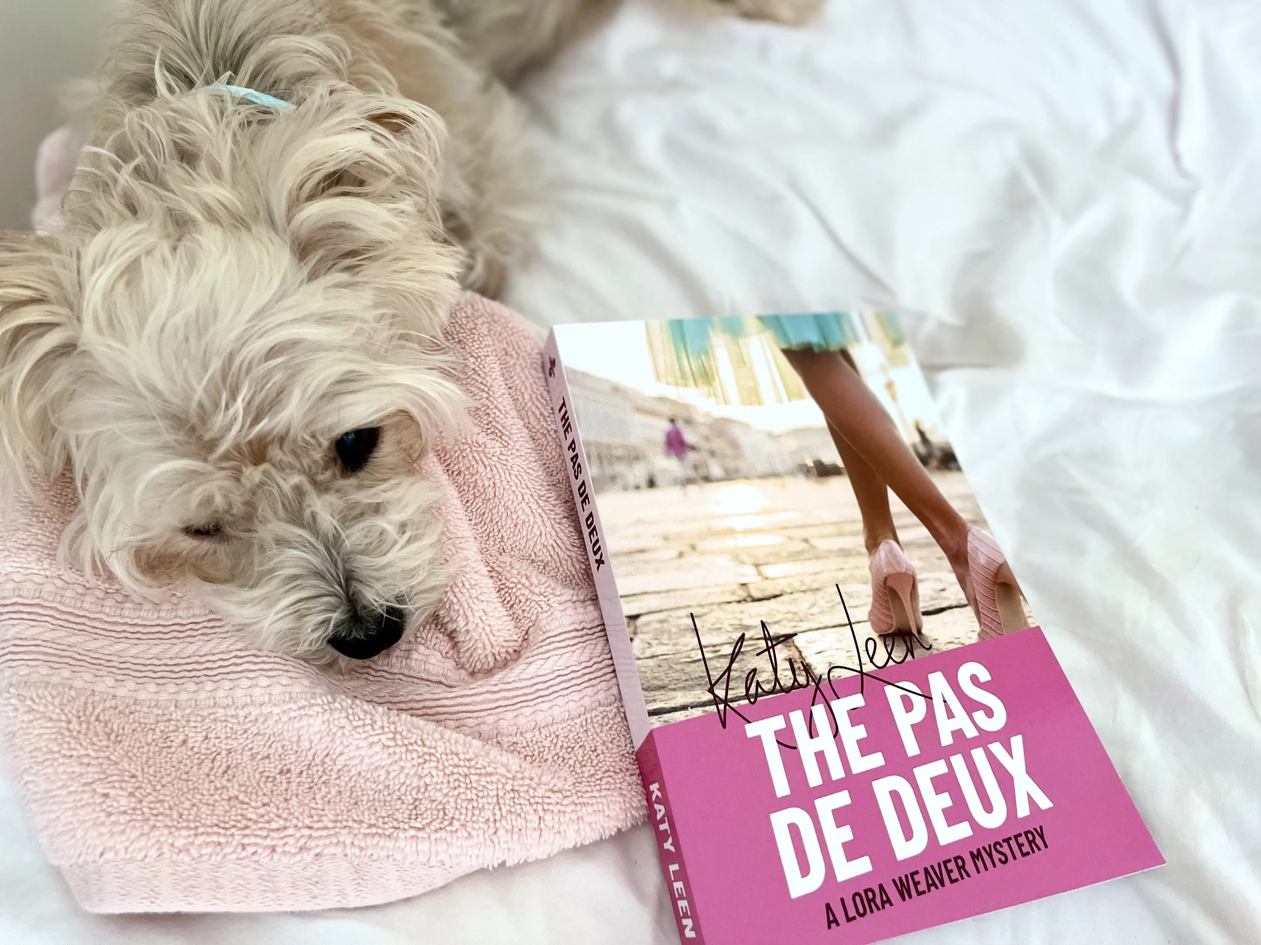 Canine Consultant! 🐶