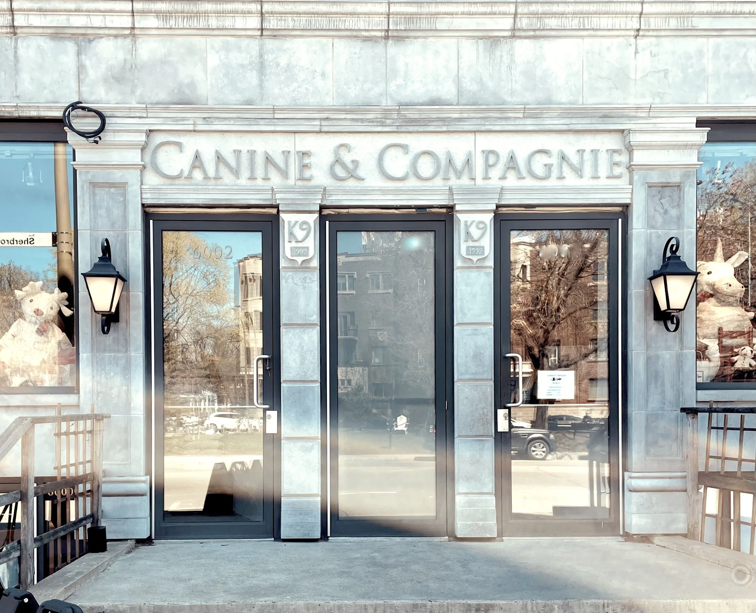 Pet Inspirations! 🐶