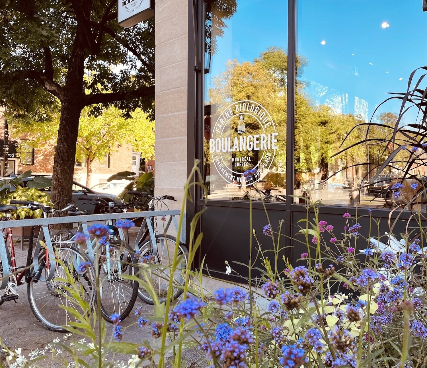 Montreal Pretty! 🌷